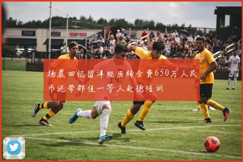 杨晨回忆留洋经历转会费650万人民币还带邵佳一等人赴德培训