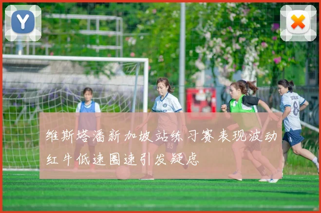 维斯塔潘新加坡站练习赛表现波动红牛低速圈速引发疑虑